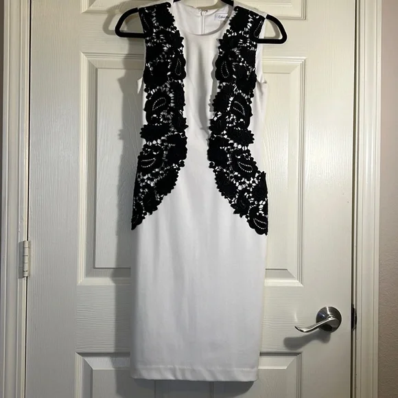 chinese dress ladies Calvin Klein Floral Embroidered Lace Women's Sheath Dress, White, 16 at  Amazon Women's Clothing store